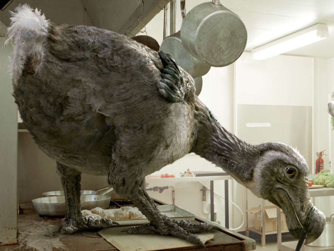 植物灭绝50年后再次出现,植物是如何造成第一次大灭绝的