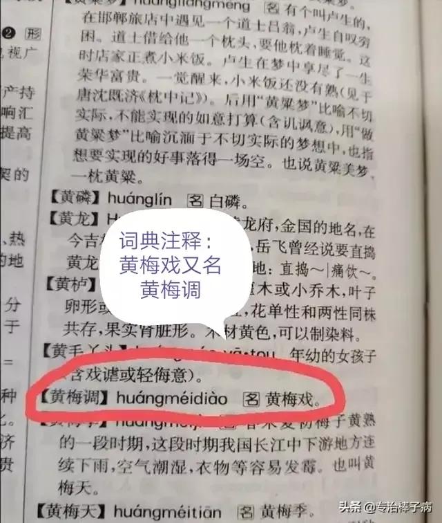 湖北黄梅戏是哪里的,湖北哪个县黄梅戏最多