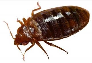 七大离奇古怪绝世新发现