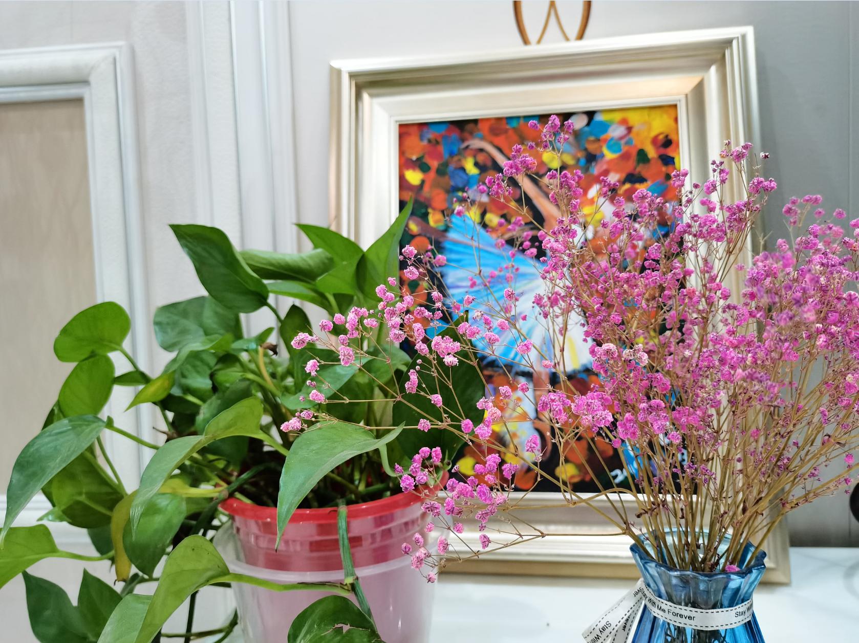 荣耀30s放大20倍拍照评测,荣耀30s测评大米