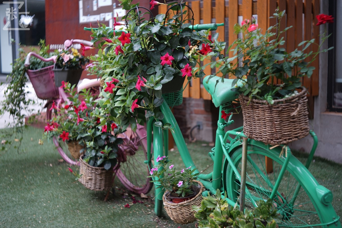 适合索尼a7m4的50定焦镜头测评,索尼a7m4镜头24-105f4测评