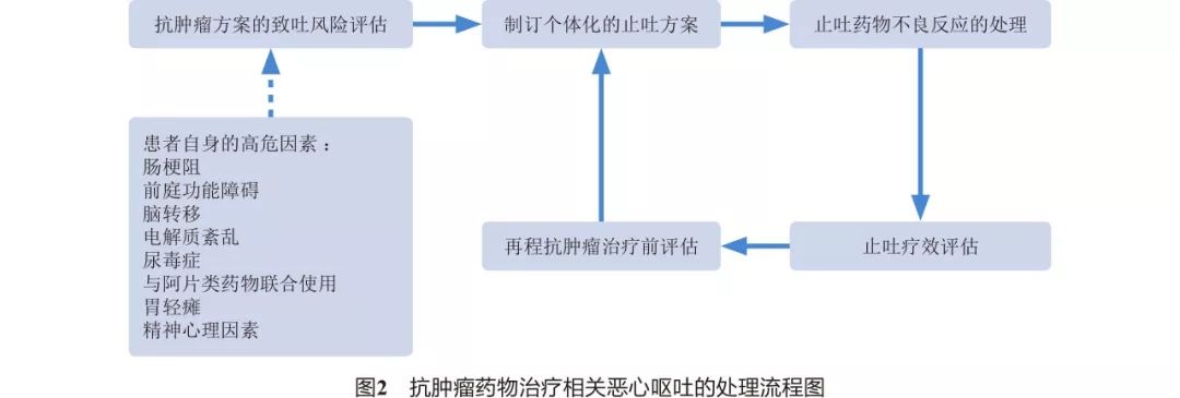 抗肿瘤恶心呕吐,抗肿瘤药的不良反应