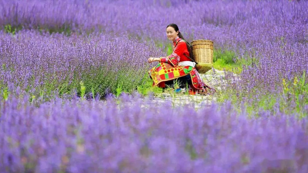 茂县古羌城传承美玉,茂县古羌城建筑介绍