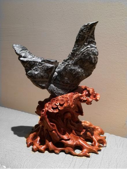 都是些什么“鸟石”？保证有你好看