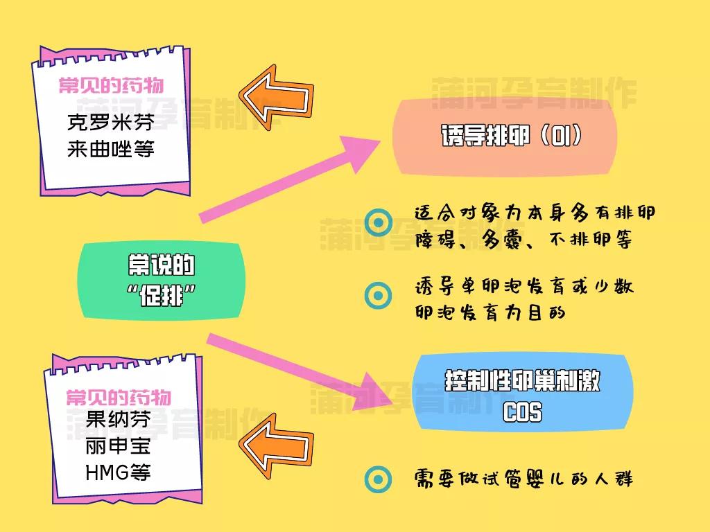 做试管婴儿一定要促排吗,不做试管可以做促排吗