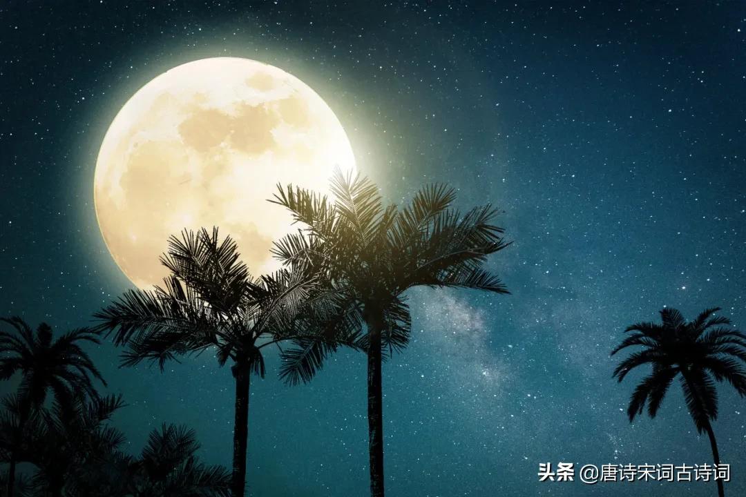 秋天最美的月光,秋天不可错过的枫叶