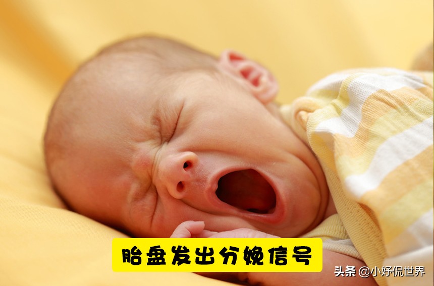 有关怀孕分娩的知识,怀孕时要知道的一些新生儿常识