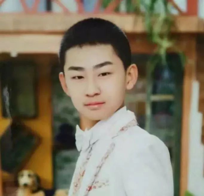 七律二首送瘟神朗读与解析,七律二首送瘟神其二配图