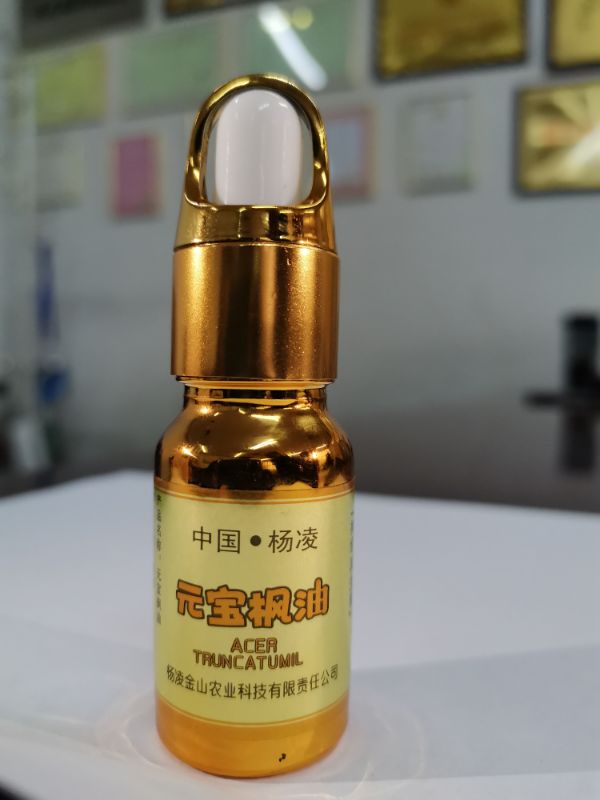 天然脑黄金元宝枫籽油,元宝枫籽油神经酸正品