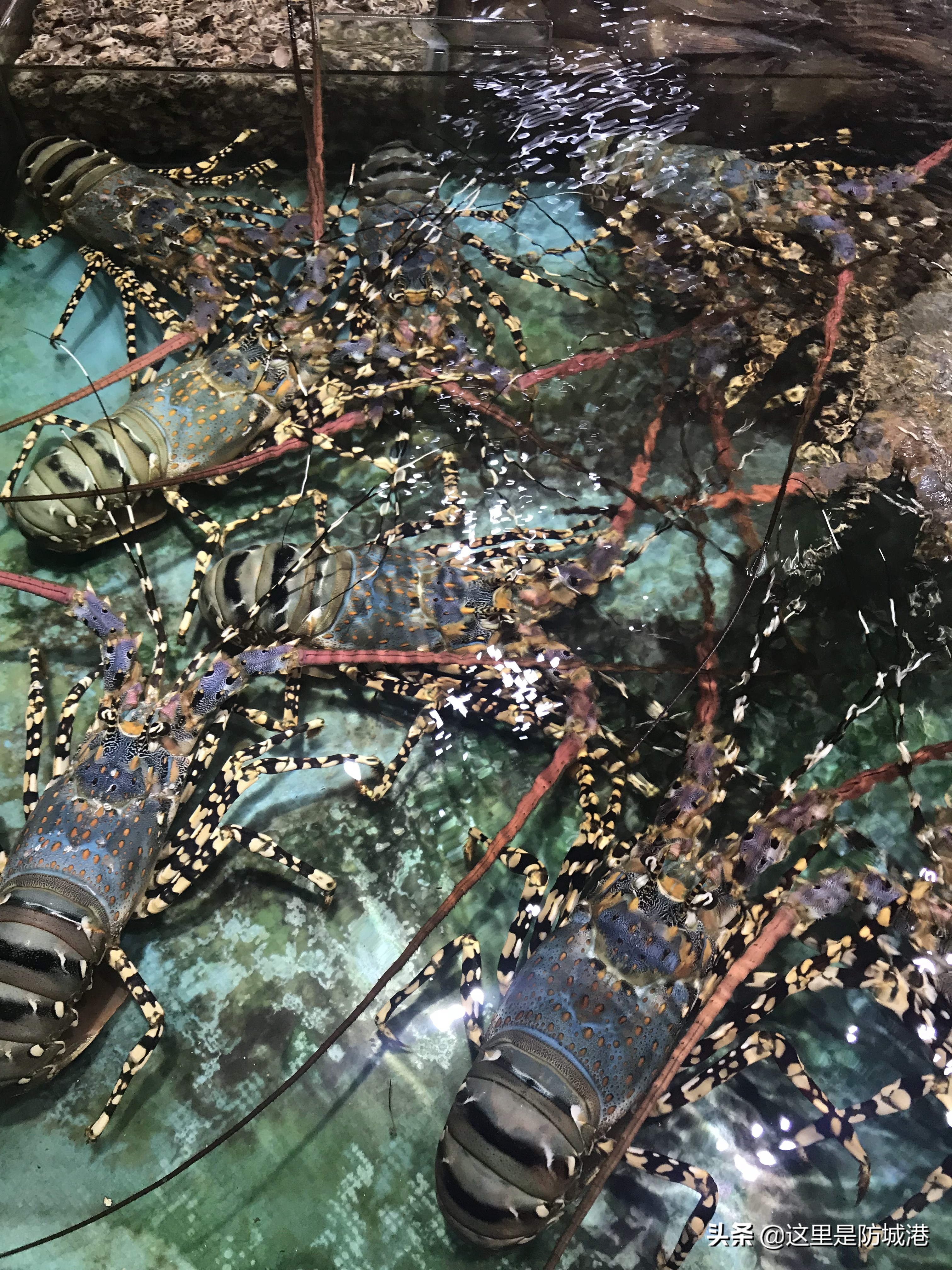 东兴宝韵足球俱乐部,广西宝韵足球队2021赛季