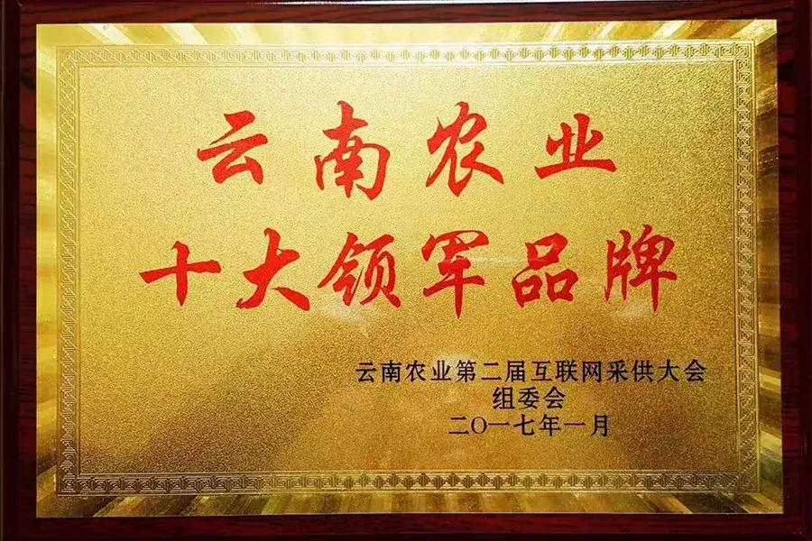 中科国医与濮仁茶行签约，濮仁茶行的普洱茶褐素居然可以当黄金卖