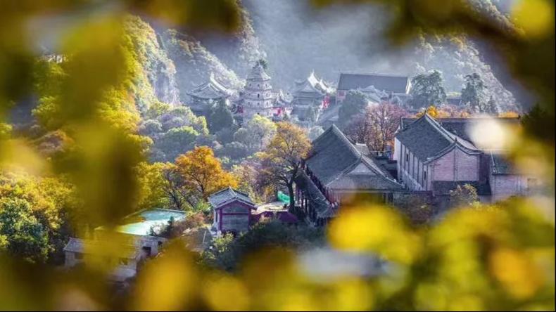 陇上旱码头平凉,旱码头在什么地方