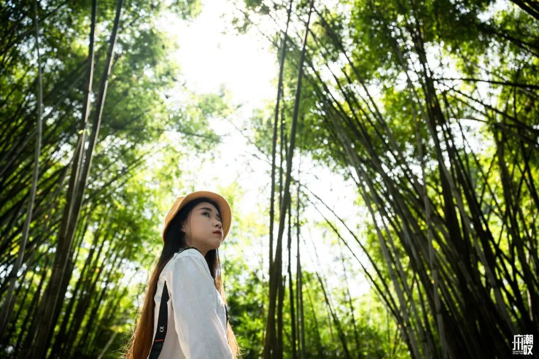 300+万㎡原始森林秘境，天河就有