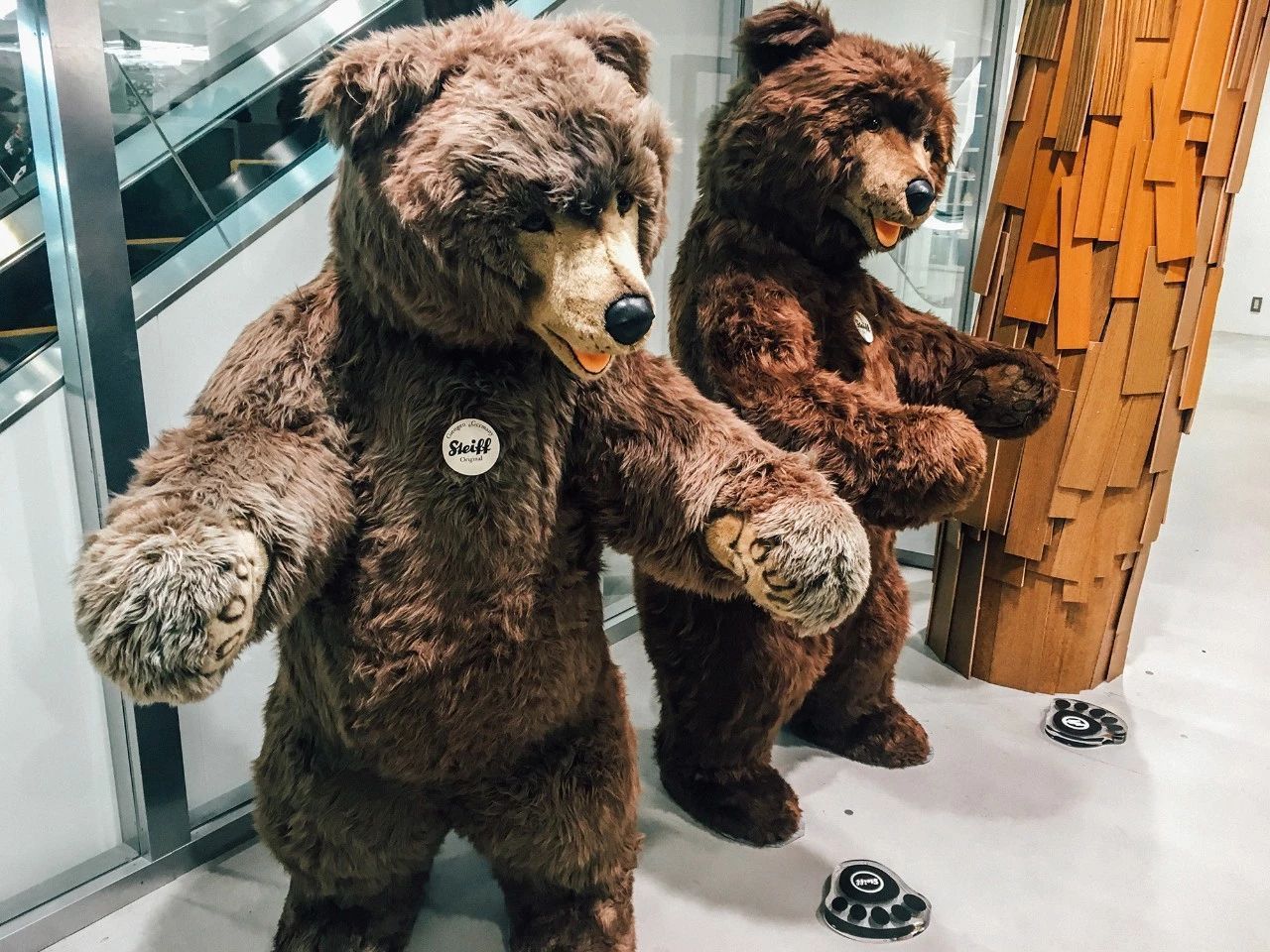 日本游学需要什么条件,日本商业游学