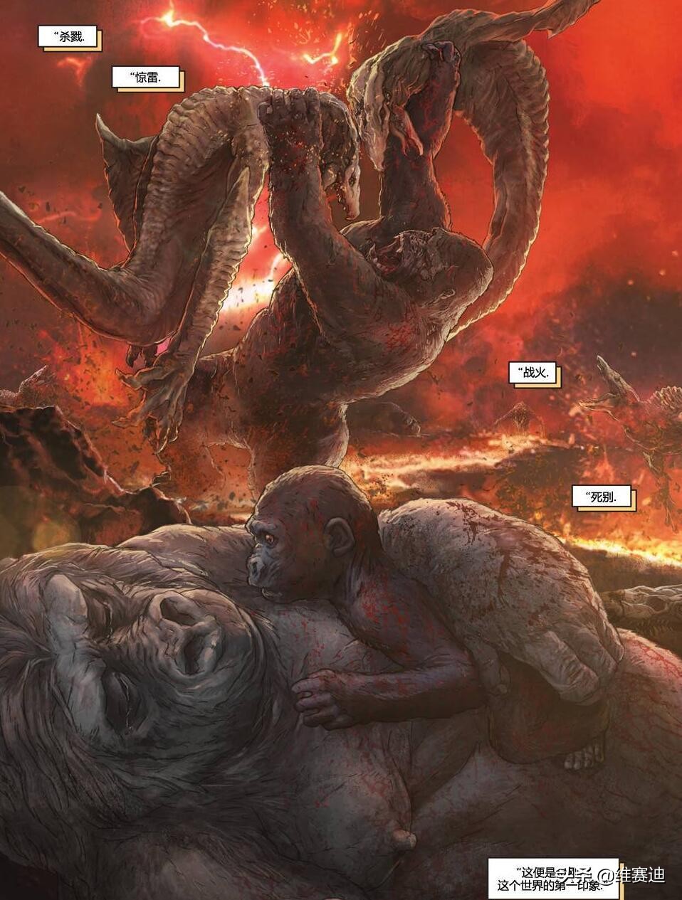 金刚怪兽宇宙,怪兽宇宙漫画里金刚有什么能力