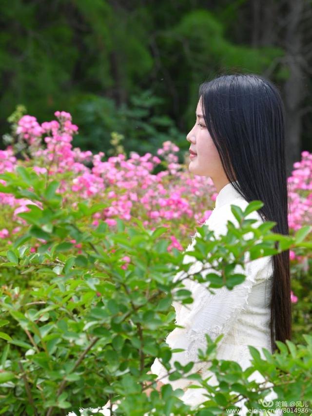 大美新蔡生态水城,大美新蔡等你来