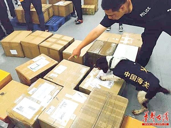 海关属于什么企业,中国海关是公务员还是事业编制