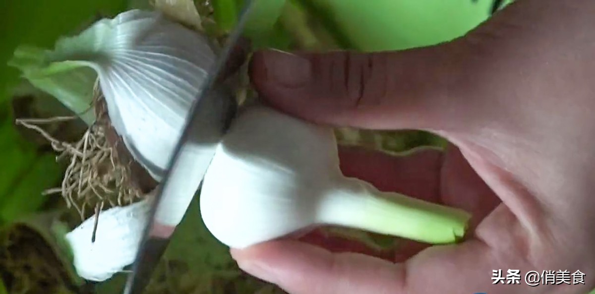 糖醋蒜的腌制方法最好吃,正宗糖醋蒜的腌制方法和配方