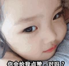 养猪常识及技巧大全,养猪宝典先进的养猪技术和方法