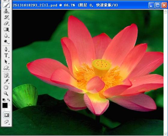 ps新手快速入门一对一教程,ps进阶教程全套免费自学