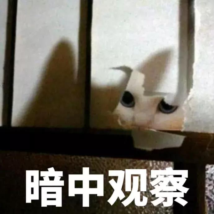 微商卖假奢侈品2300万,情侣卖假箱包