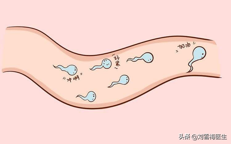 女子备孕失败,女生备孕期间怀不上是什么原因