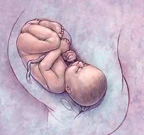 孕36周到37周有什么检查,孕36周各项发育指标对照表