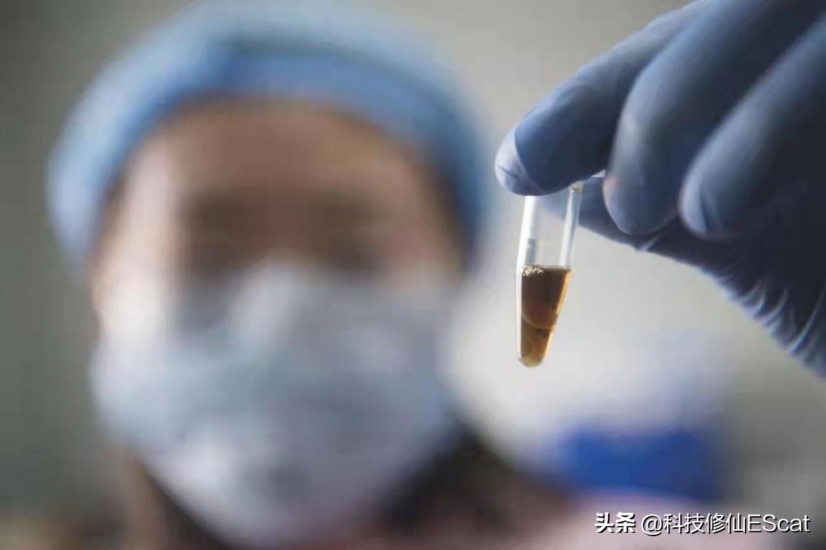 以人类目前的技术能复活恐龙吗,用ar技术复活中国远古时期的恐龙