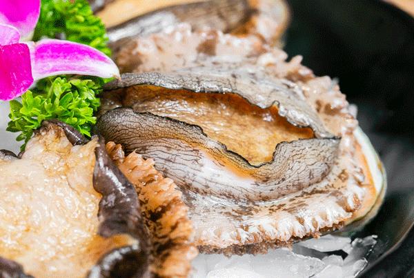 魔都惊现「2层楼小香港」,卖“蹦迪海鲜”!花胶鸡、6头鲍免费送