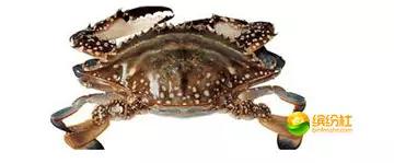 舟山4月份海鲜攻略,舟山海鲜代加工攻略