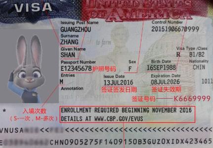 全世界对中国免签的35个国家,最新与中国互相免签的国家