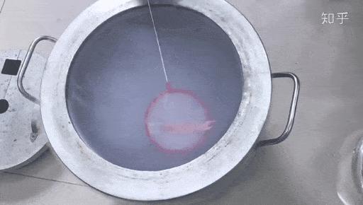 冻死的鱼解冻还会活吗,被冻在冰块里的鱼又活了