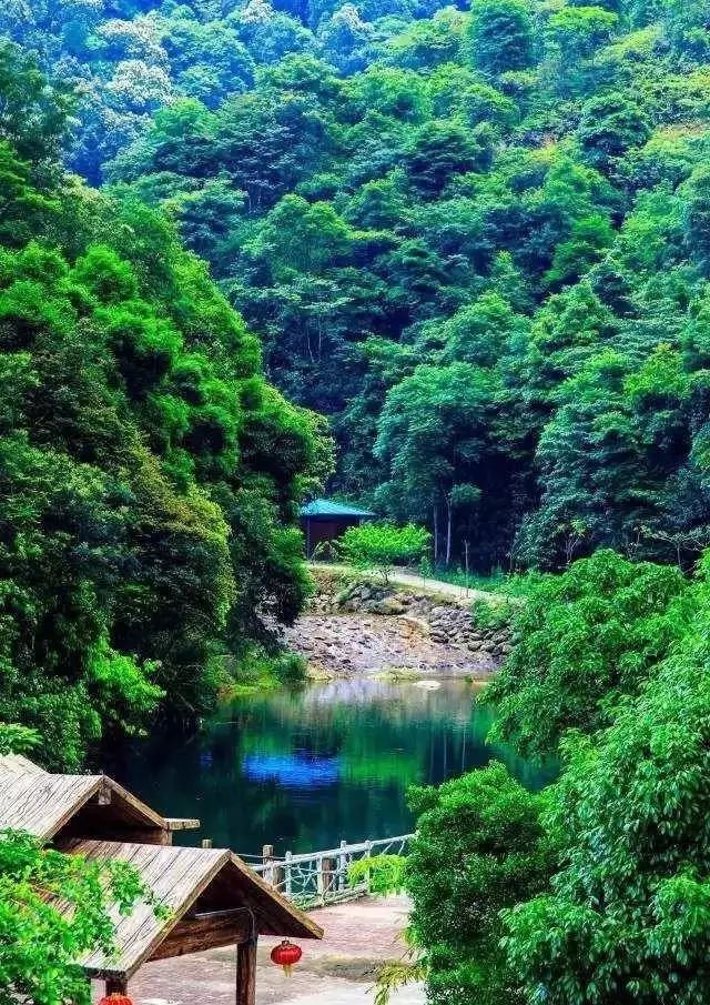 广东旅游攻略自驾游最佳路线,广东旅游攻略自驾游带孩子三天