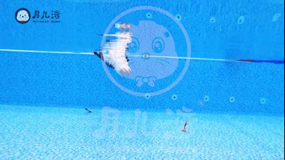 1岁宝宝游泳耳朵进水怎么解决,宝宝学游泳耳朵会进水吗