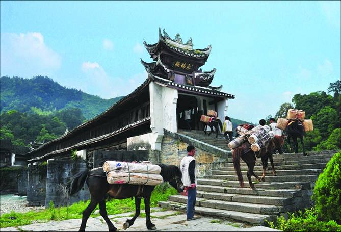 青砖茶万里茶道,羊楼洞万里茶道青砖茶