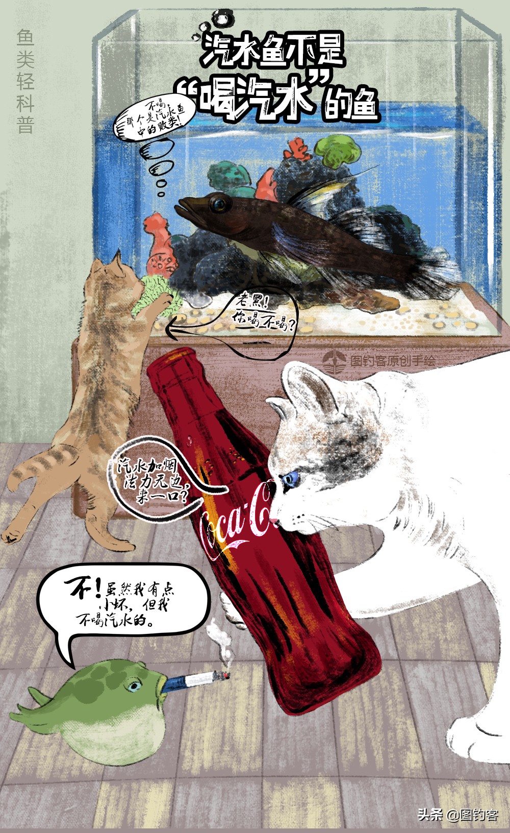 淡水中的汽水鱼,淡水汽水鱼有哪些