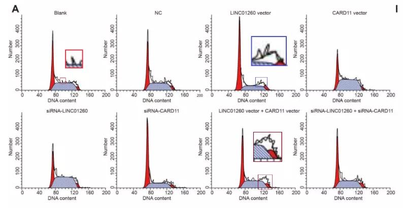 众多大佬沦陷“论文工厂”!112篇论文,55%获基金资助