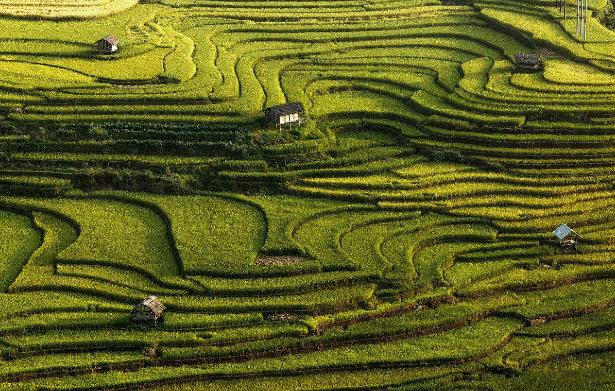 拿着1万在国内旅游能维持多久,国内旅游还没走完有必要去国外吗