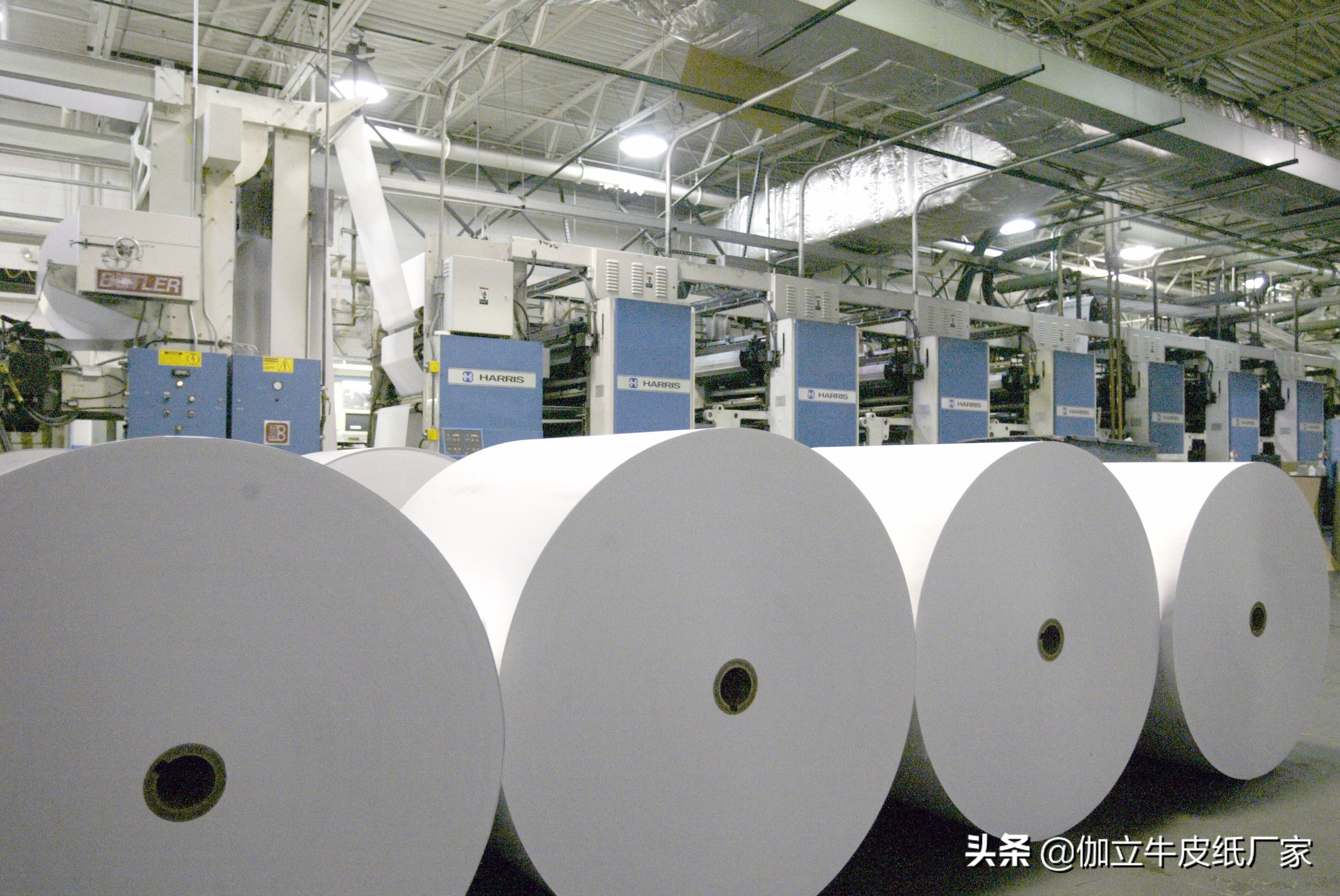 干货类包装,干货真空包装好卖吗