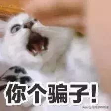 微信支付涉嫌诈骗如何解决,微信支付遇到诈骗的怎么处理