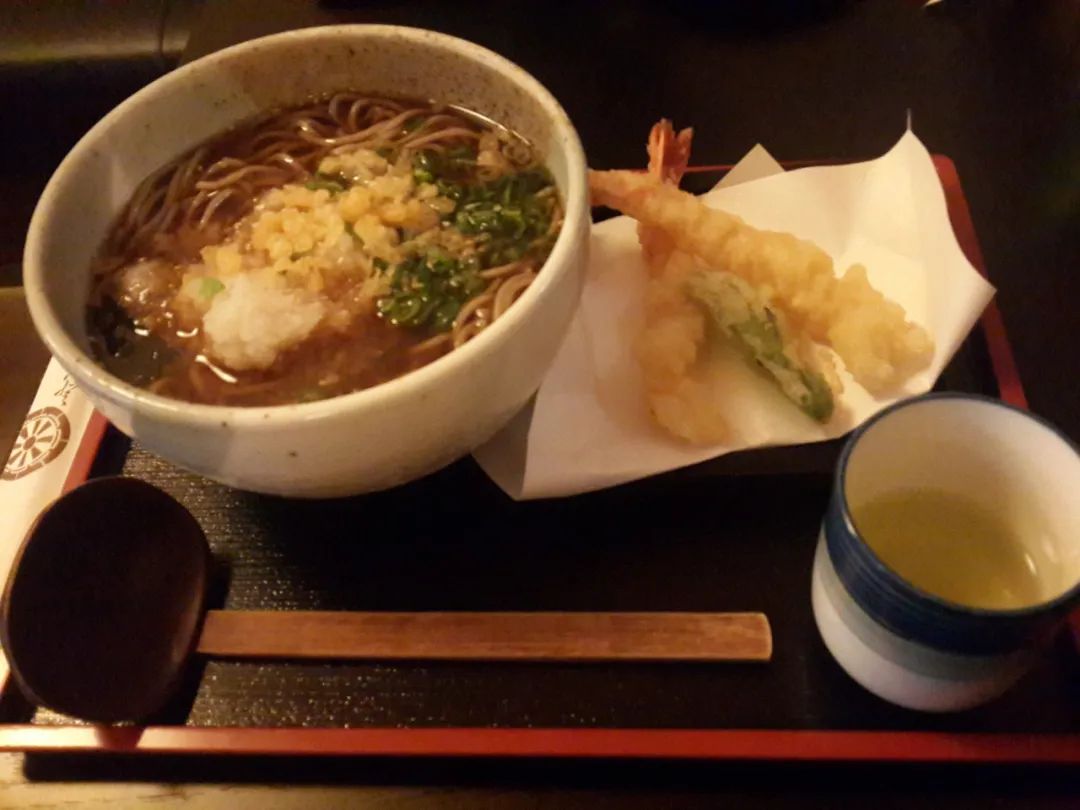 我真的很想回家视频,海外华人抗疫日记