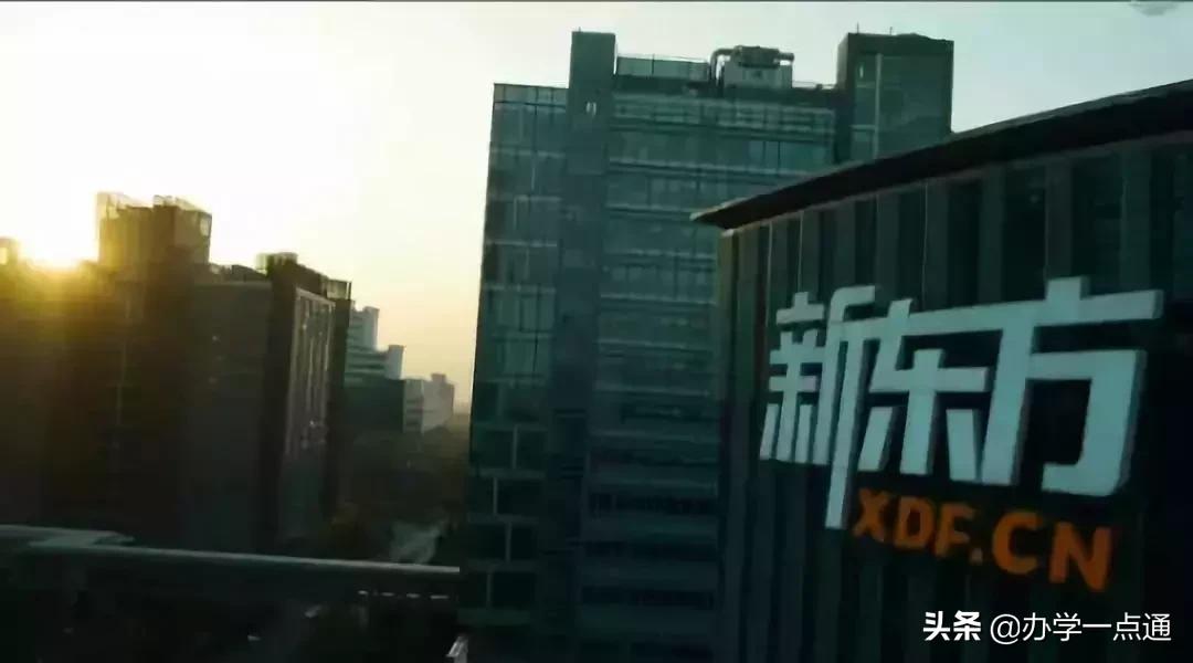 新东方员工股权最低能拿多少,新东方5%股权是多少钱