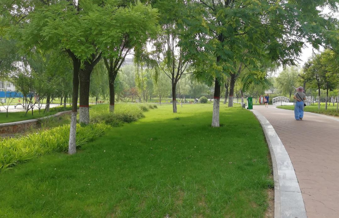 映日荷花别样红湖中美景,莲叶无穷碧映日荷花别样红美景