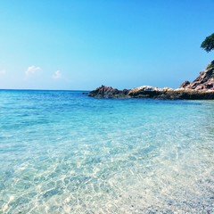 芭提雅旅游必去十大景点,芭提雅最值得去的景点