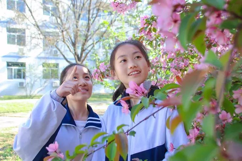 保定东方双语学校如何进,学习不好能上保定东方双语学校吗