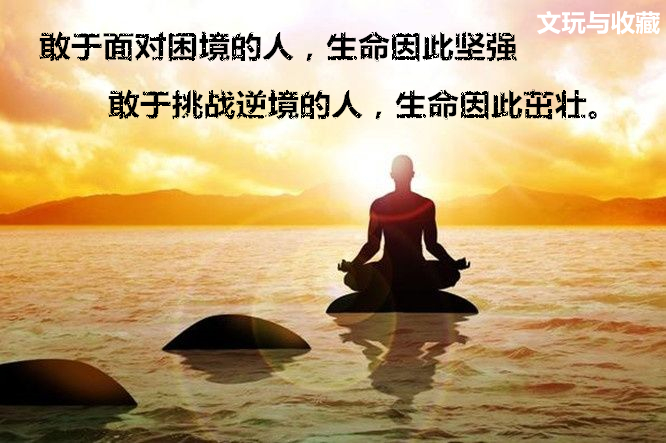 文玩菩提种类,文玩菩提子分类