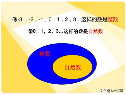 初一数学从自然数到有理数,初一数学负数和有理数练习