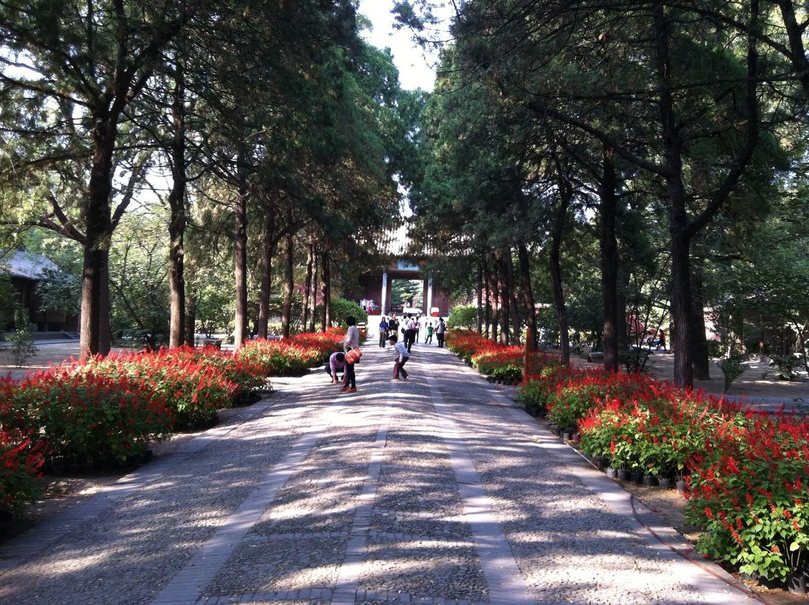 中国现存50大古建筑,享誉中外的旅游胜地,令人惊叹