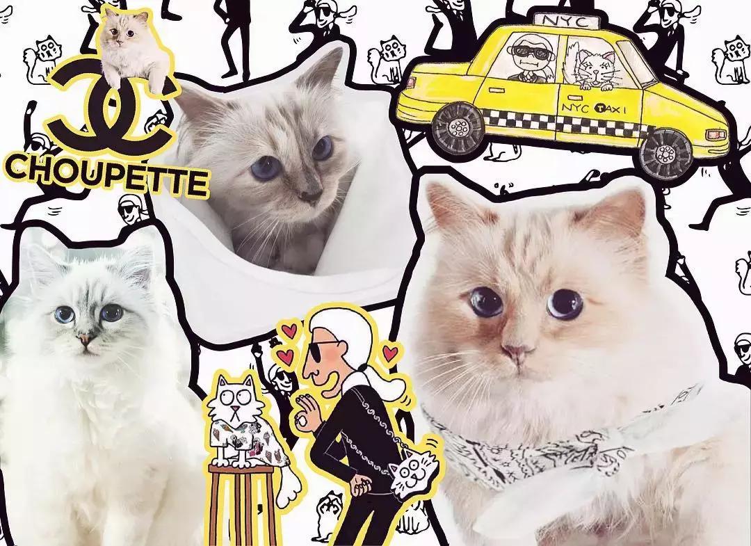 老佛爷去世，他那只年挣300万欧元的猫将继承他的遗产？！