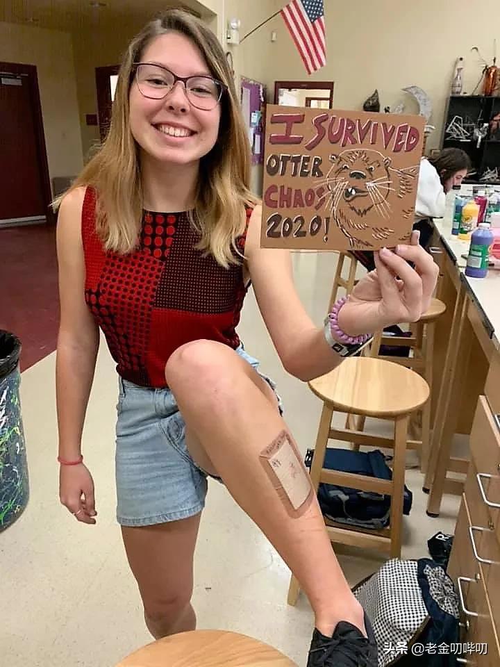 水獭与平头哥是同科吗,水獭动物界的平头哥